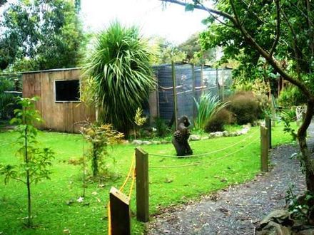 A view of some of the Avaries