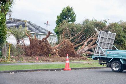 Trafalgar St - Resource cover image