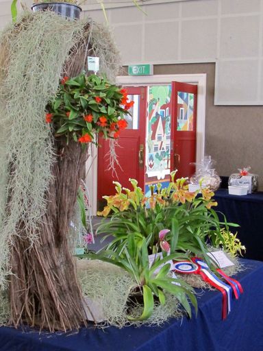 0233 Levin orchid show 2012 - Resource cover image