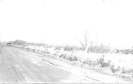 "Gale & Flood", Shannon, 1917