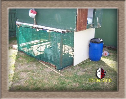 Bullies 4 Me - Resource cover image