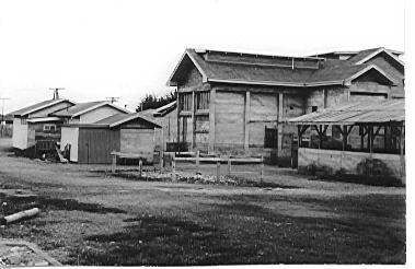 Levin Abattoir, Hokio Beach Road