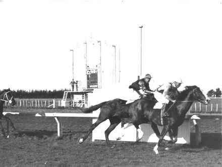 Racehorse 'Gay Boy' Winning at the Marton Races, c.1930
