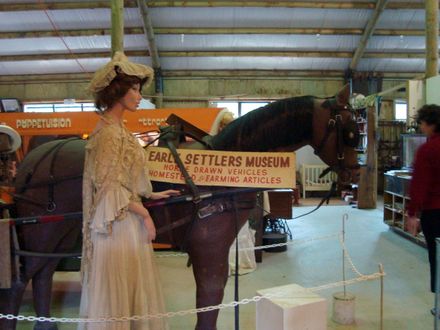 Horse and Cart with lady