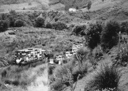 One of Field's Apiaries in the Wanganui Valley area - Resource cover image
