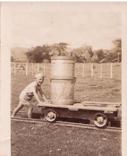 Young boy pushing cream trolley