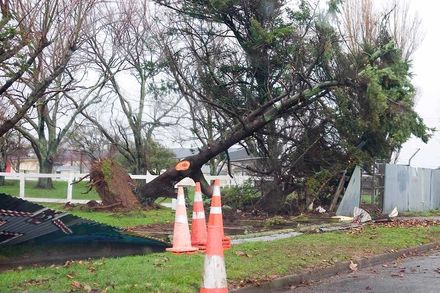 Tiro Tiro Road - AP & I Showgrounds