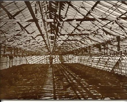 Aluminium Glasshouse, c.1953