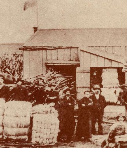 Flax Workers, Foxton, 1904