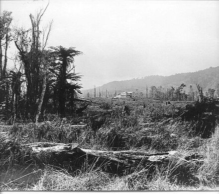 Cheslyn Rise, Queen St East