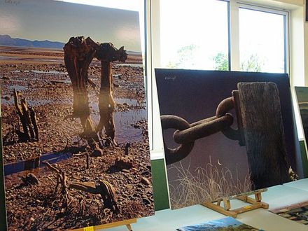 Paul Knight photography