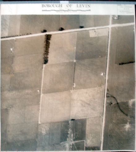 Aerial survey photograph (Levin)