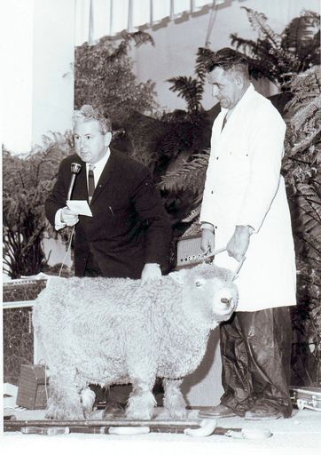 2 men on stage with a sheep, Electricity Exhibition 1972 - Resource cover image