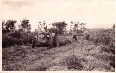 Harvesting (crop, silage or hay ?), 1962
