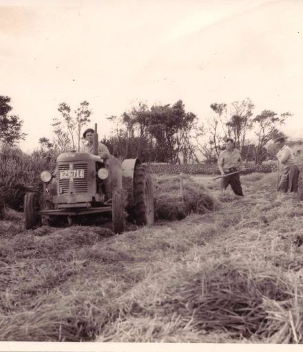 Harvesting (crop, silage or hay ?), 1962