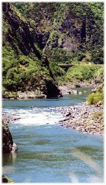 Manawatu Gorge Tunnel Walk - Resource cover image