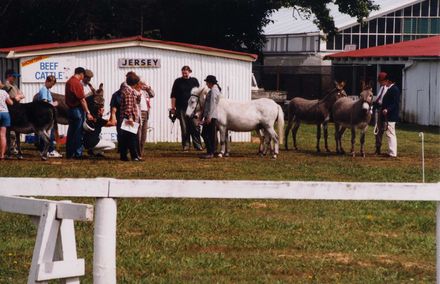 Horowhenua A P& I Show, 2002 - Resource cover image