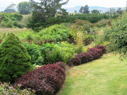 Garden 3 Path down from lawn to gully - Resource cover image