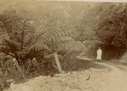 Woman standing on Heights Road, 1914