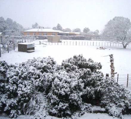Coming home to snow on close neighbours
