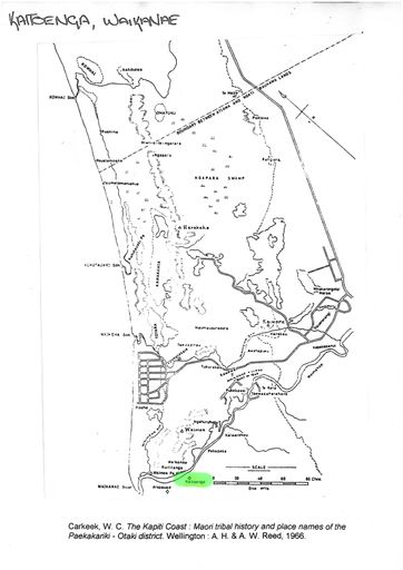 Kaitoenga, Waikanae