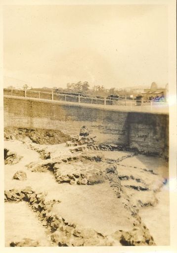 An animal enclosure - possible Wellington zoo. - Resource cover image