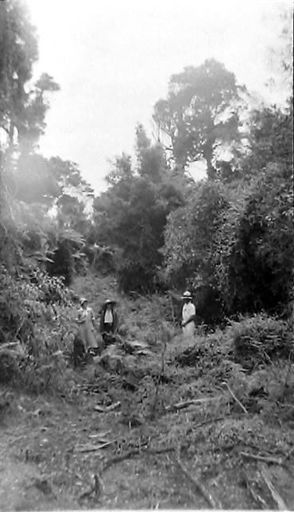 At Kopuruherehe Lagoon 1933 - Resource cover image