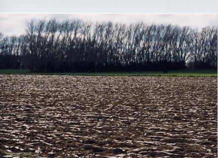 Ploughed Fields, Tane Rd, Opiki