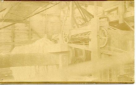 Flax fibre being washed
