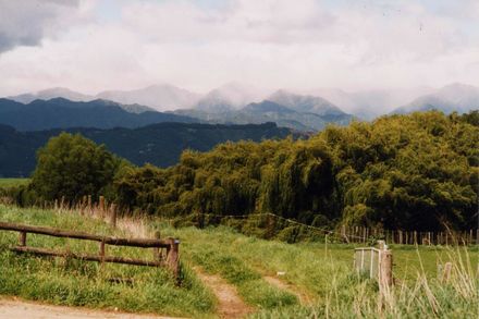 Tararua Ranges from Kawiu Road