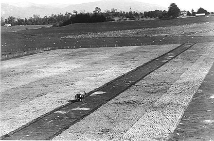 Ploughing, 'Cheslyn Rise', c.1916