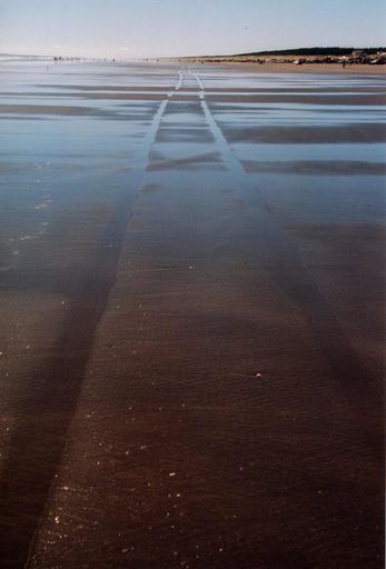 Waitarere Beach Carnival