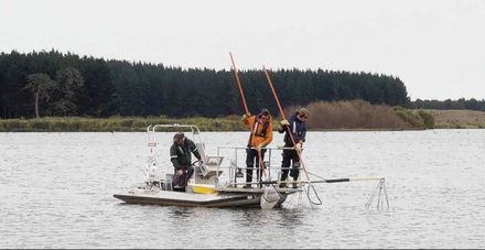 Probing the water Horowhenua Chronicle 26 April 2013 - Resource cover image