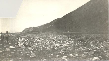 Cliff along coast, (21 or 31)/11/54