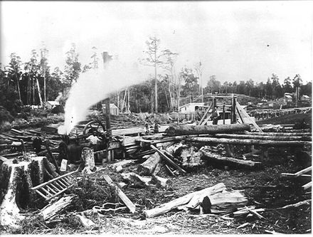 Sawmill, Kereru (Koputaroa)