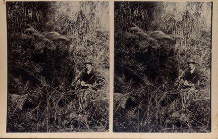 Mr Jas. (James) Hallam sitting in bush with notebook, Shannon, 1901