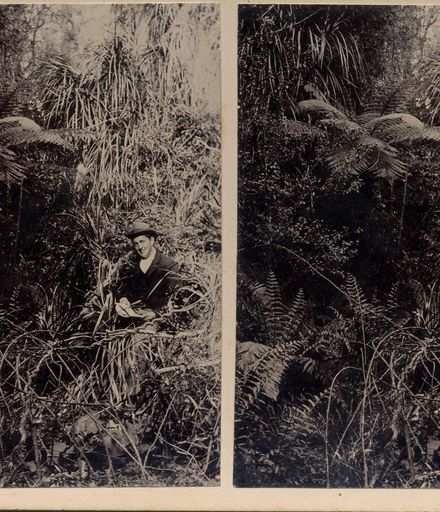 Mr Jas. (James) Hallam sitting in bush with notebook, Shannon, 1901