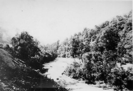 View of river (Tokomaru or Mangahao)