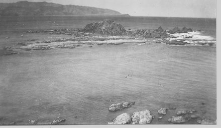 Wellington Harbour Entrance