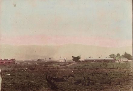 Miranui, Shannon, 1911