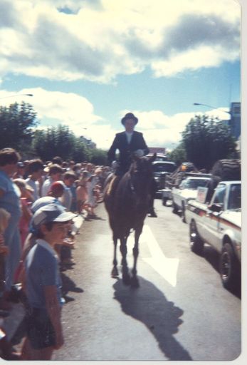 Horseman and vehicles