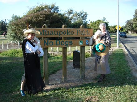 Who's a Bitch? Bichon? - Resource cover image