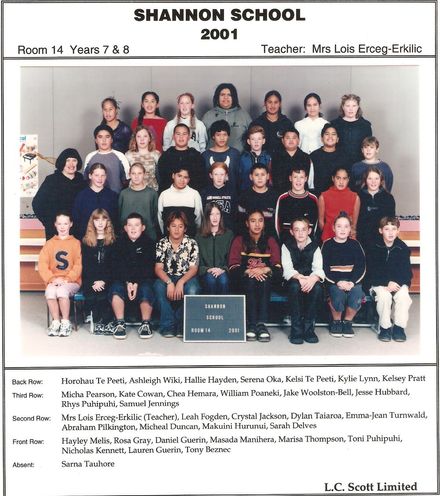 Shannon school room 14 2001