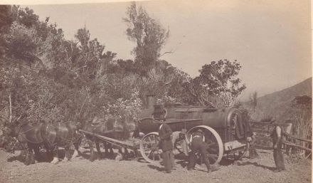 "Boiler" and team of horses 'jacking round' hairpin bend, Mangahao, 1920