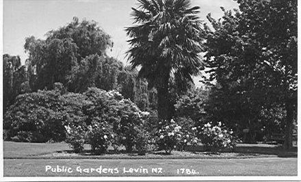 Public Gardens, Cambridge Street / Bath Street Levin