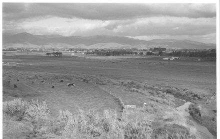 Hokio Stream from Crawford's hill, 1977