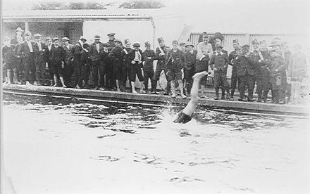 Swimming Pool, Levin