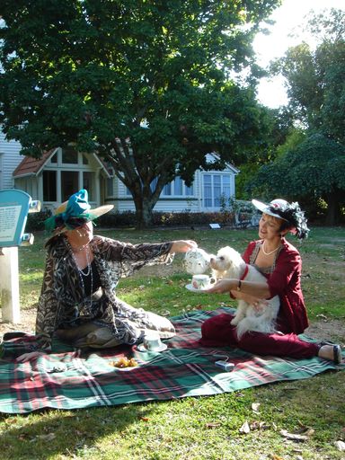 Tea Time on the Lawn - Resource cover image