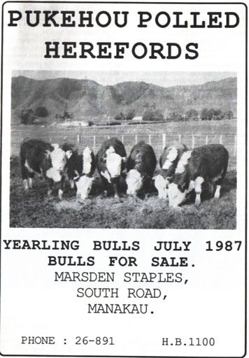 Pukehou Polled Herefords