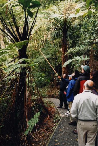 American Tourists and Muaupoko at Lake Papaitonga